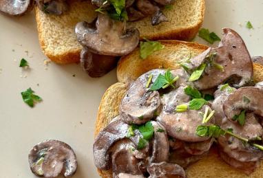 Red Wine and Mushroom Ragout Photo 1