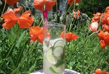 Mint-Cucumber Mojitos Photo 1