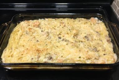 Chicken Tetrazzini IV Photo 1