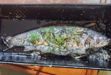 Baked Fresh Rainbow Trout Photo 1