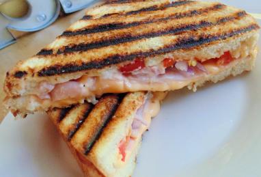 Basic Grilled Panini Photo 1