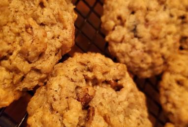 Oatmeal Raisin Cookies IX Photo 1