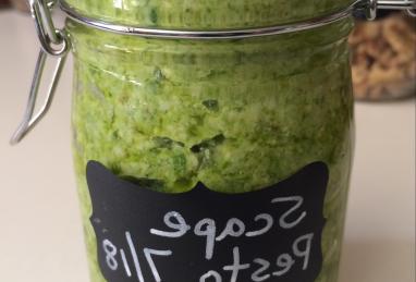 Rudy's Garlic Scape Pesto Photo 1