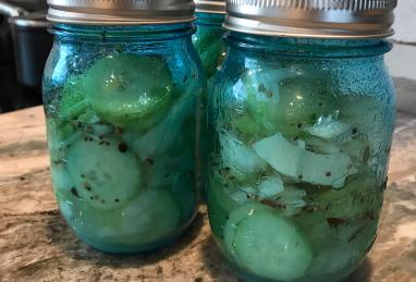 Mona's Easy Refrigerator Pickles Photo 1