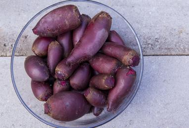 Raw Fermented Beets Photo 1