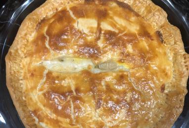 Easy Vegetable Pot Pie Photo 1