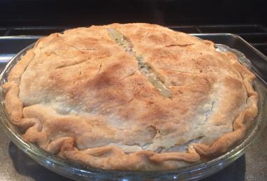 Left-Over Turkey Pot Pie Photo 1