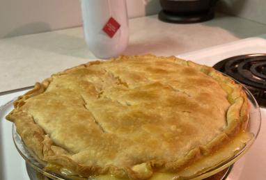 Cheesy Chicken Pot Pie Photo 1