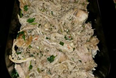 Cuban Shredded Pork Photo 1