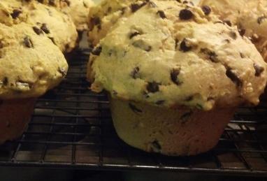 Pumpkin Gut Chocolate Chip Muffins Photo 1