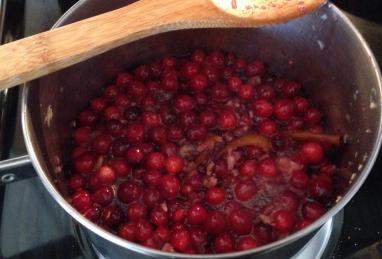 Cranberry Red Wine Relish Photo 1