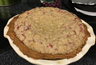 Sour Cream Rhubarb Pie Photo 1