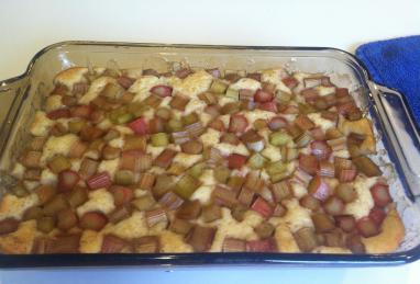 Rhubarb Pudding Photo 1