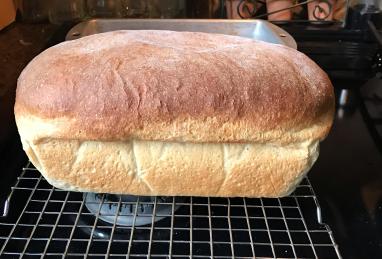 Buttermilk Honey Wheat Bread Photo 1