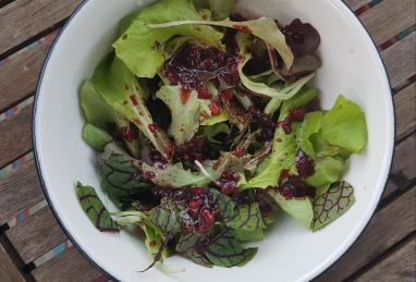 Fresh Raspberry Balsamic Vinaigrette Photo 1