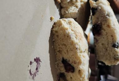 Blueberry Scones Photo 1