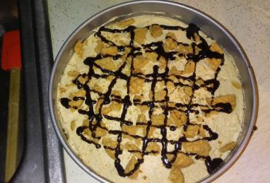 Peanut Butter Pie IX Photo 1