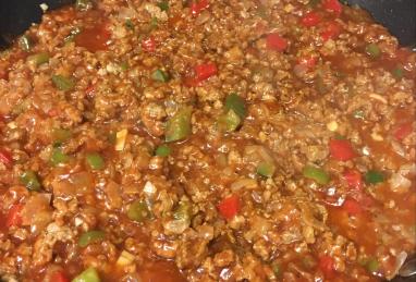 Spicy Turkey Sloppy Joes Photo 1