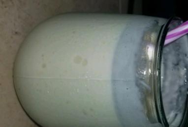 Lela's Protein Mango Smoothie Photo 1