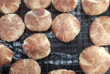 Snickerdoodles III Photo 1