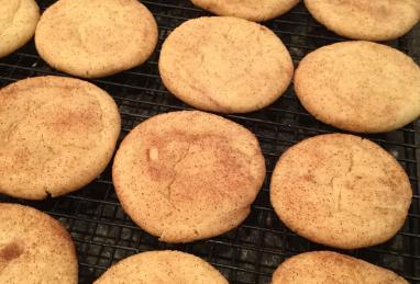 Snickerdoodles I Photo 1