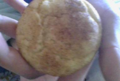 Snickerdoodles V Photo 1