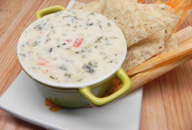 Spinach Con Queso Dip Photo 1