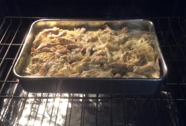 Turkey Tetrazzini Photo 1