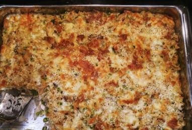 Turkey Tetrazzini a la Stouffer's Photo 1