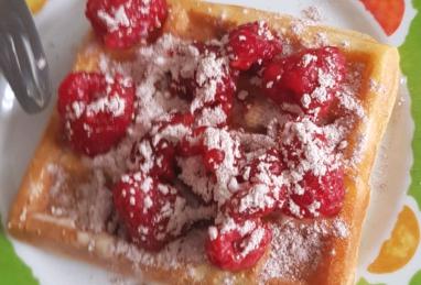 Rich Yogurt Waffles Photo 1