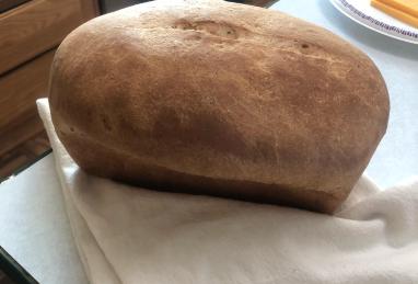 Honey Whole Wheat Bread Photo 1