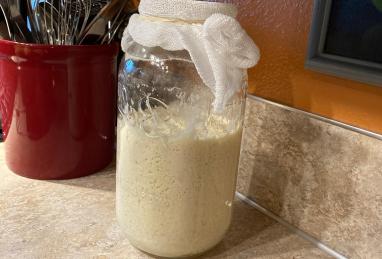 Sourdough Starter Photo 1