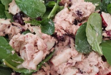 Amazingly Good and Healthy Tuna Salad Photo 1