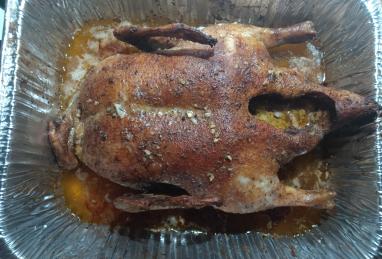 Roasted Duck Photo 1