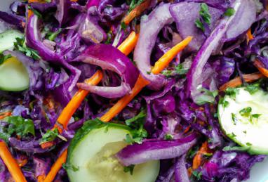 Purple Cabbage Slaw with Tangy Honey Dressing Photo 1