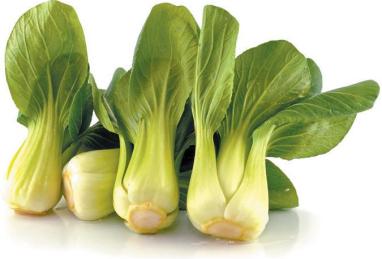 Sautéed Bok Choy Photo 1