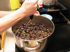 Grape Jelly Photo 3