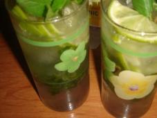 Homemade “Mojito” Photo 6