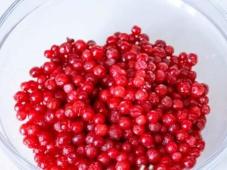 Vegan Cranberry Morse Photo 2