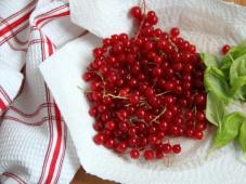 Salmon in the Red Currant Marinade Photo 2