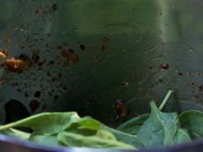 Indian Palak Sauce Photo 5