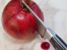 Citrus and Pomegranate Fruit Salad Photo 2