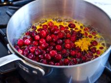 Fresh Cranberry Sauce Photo 5