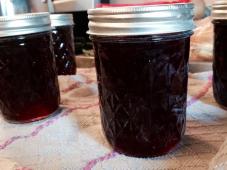 Concord Grape Jelly Photo 7