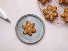 Gingerbread Snowflakes Photo 10