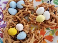 Easter Bird's Nests Photo 4