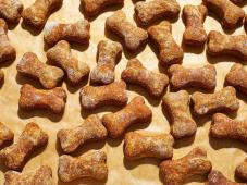 Homemade Dog Treats (Peanut Butter and Pumpkin) Photo 8