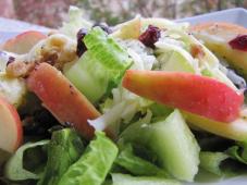 Winter Fruit Salad with Lemon Poppyseed Dressing Photo 3