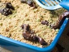 Kitty Litter Cake Photo 12