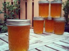 Pear Honey Photo 3